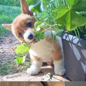 Meet your Posher, Xing